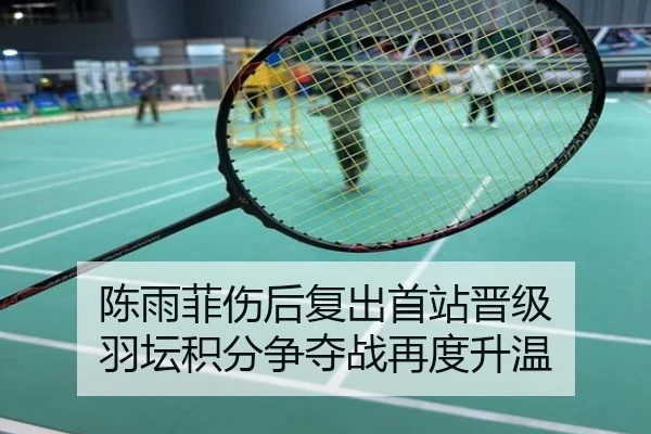 陈雨菲伤后复出首站晋级 羽坛积分争夺战再度升温